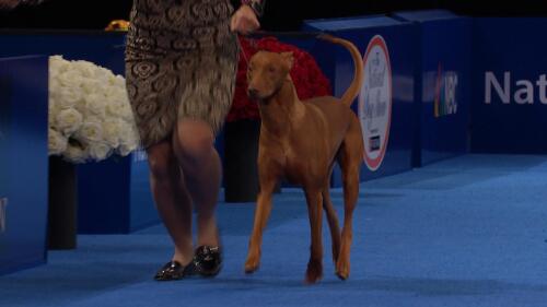 为什么选择我们